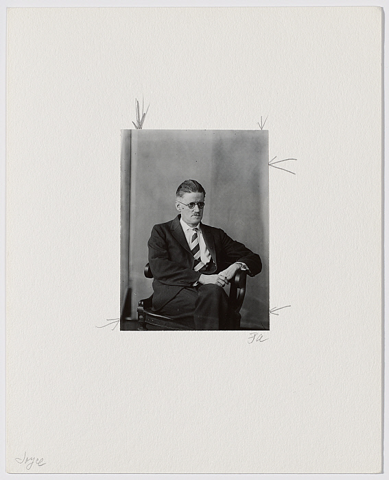 Portrait of James Joyce Slider Image 2